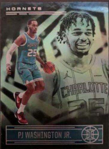 PJ Washington Jr. #141