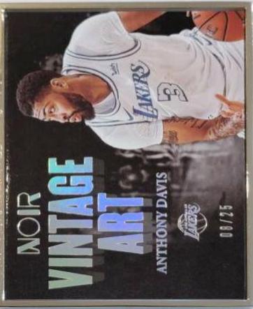 Anthony Davis [Metal Frame] #295