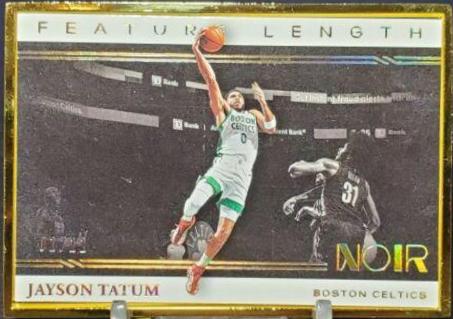 Jayson Tatum [Metal Frame] #261