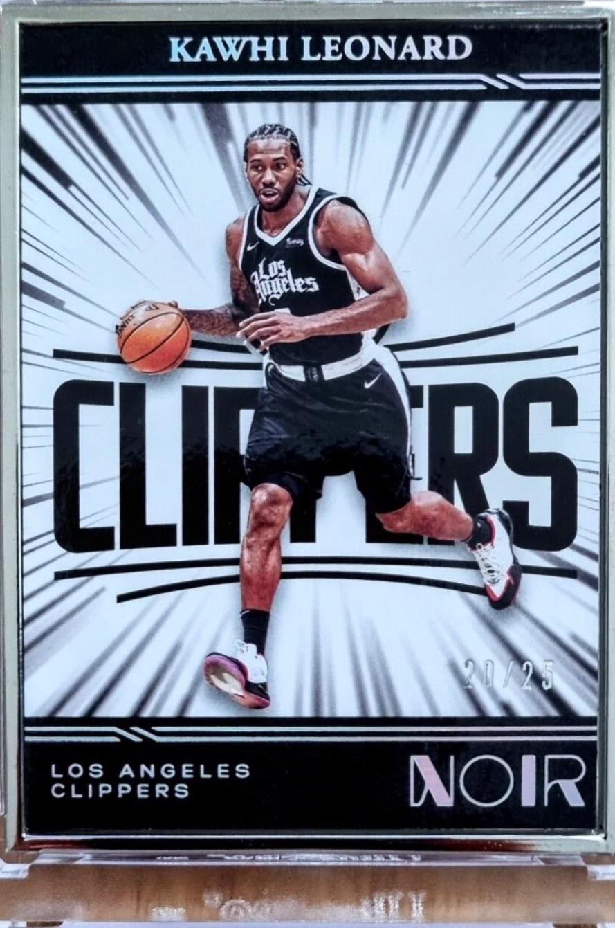 Kawhi Leonard [Metal Frame] #264