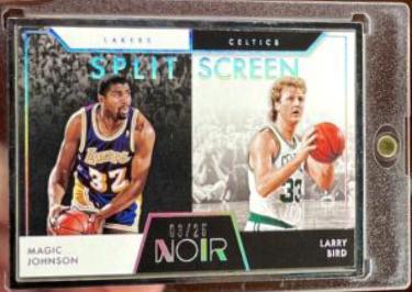 Larry BirdMagic Johnson [Metal Frame] #272
