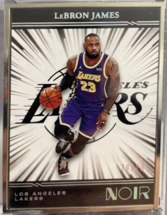 LeBron James [Metal Frame] #206