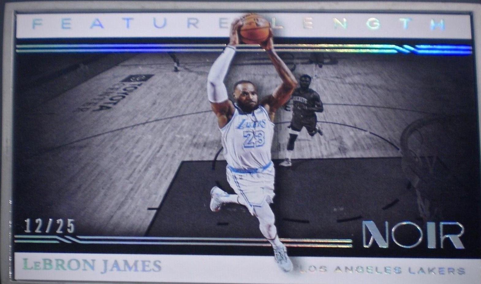 LeBron James [Metal Frame] #260