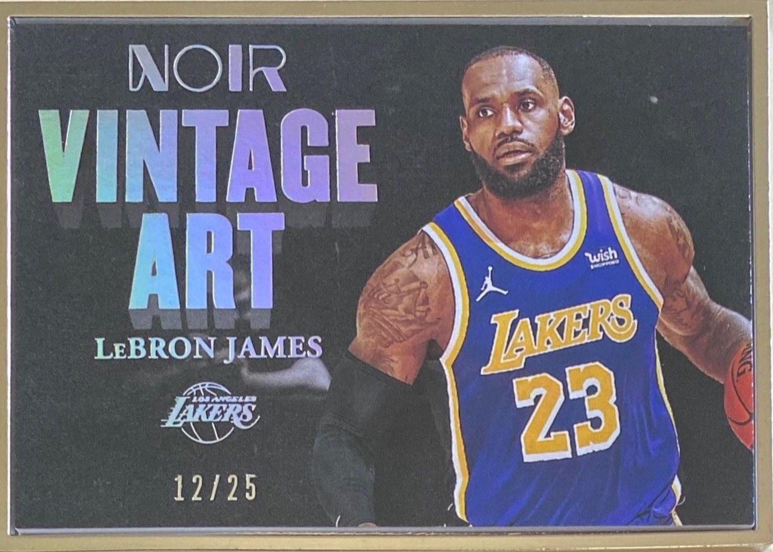 LeBron James [Metal Frame] #300