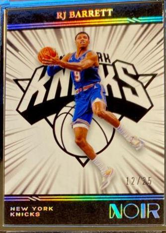 RJ Barrett [Metal Frame] #207