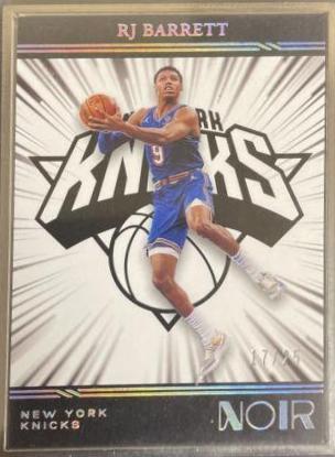 RJ Barrett [Metal Frame] #270