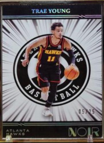 Trae Young [Metal Frame] #216
