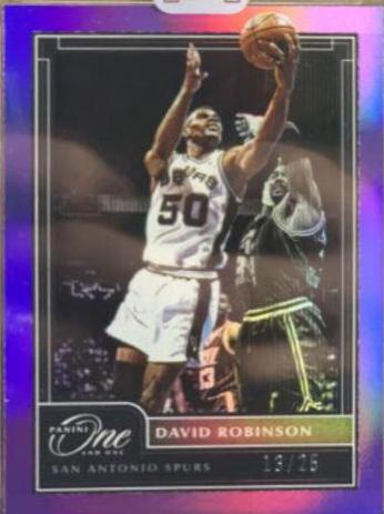 David Robinson [Purple] #160