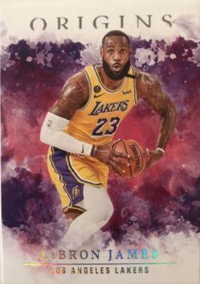 LeBron James [Pink] #66