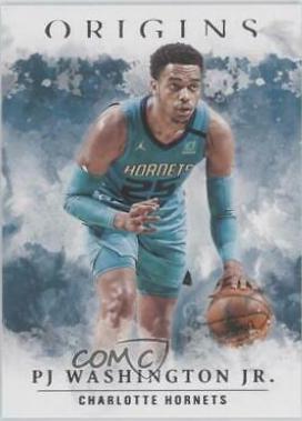 PJ Washington Jr. #10