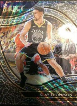 Klay Thompson [Elephant Prizm] #243