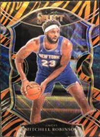 Mitchell Robinson [Tiger Prizm] #9