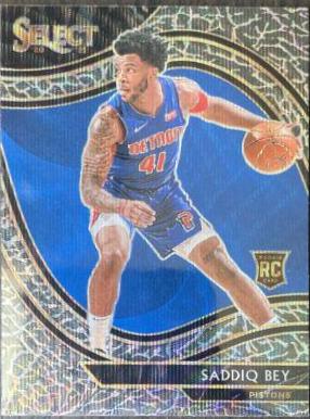 Saddiq Bey [Elephant Prizm] #282