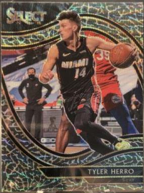 Tyler Herro [Elephant Prizm] #225