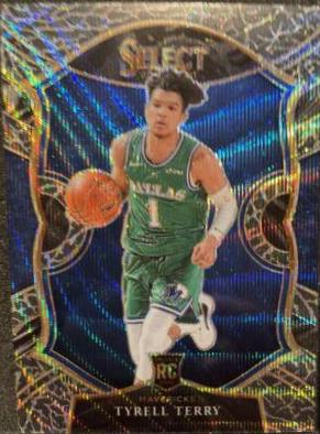 Tyrell Terry [Elephant Prizm] #91