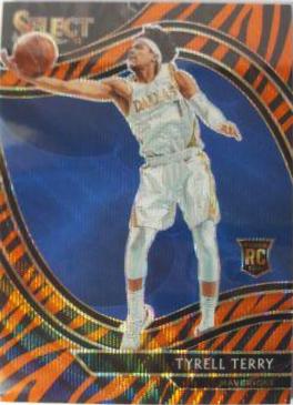 Tyrell Terry [Tiger Prizm] #270