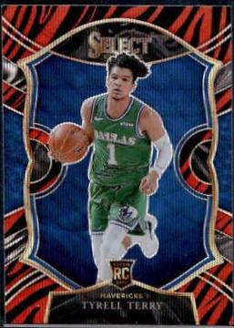 Tyrell Terry [Tiger Prizm] #91