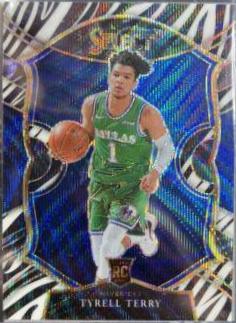 Tyrell Terry [Zebra Prizm] #91