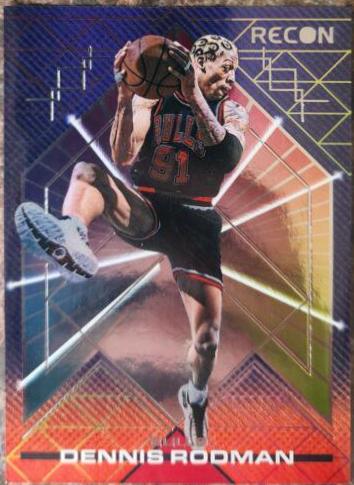 Dennis Rodman #193
