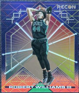Robert Williams III #164