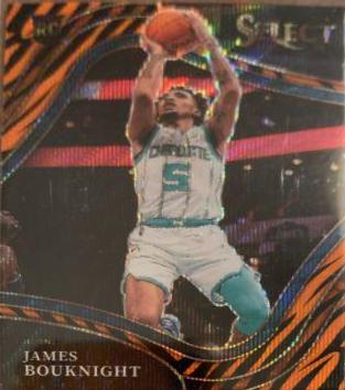 James Bouknight [Tiger Prizm] #254