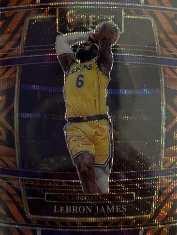 LeBron James [Tiger Prizm] #100