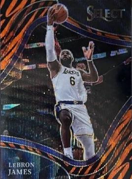 LeBron James [Tiger Prizm] #219