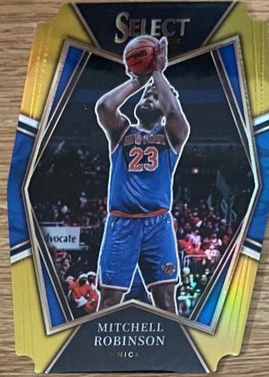Mitchell Robinson [Gold Prizm Die Cut] #167