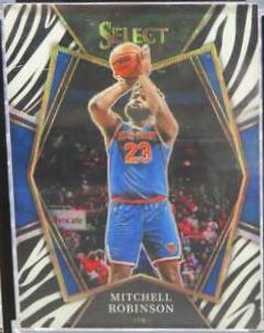 Mitchell Robinson [Zebra Prizm] #167