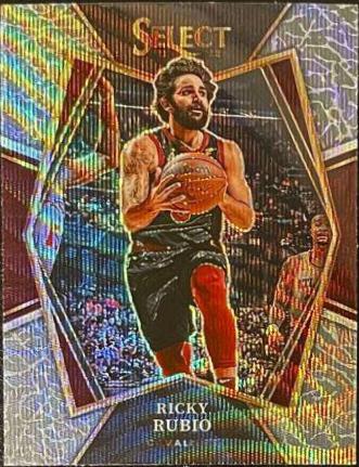 Ricky Rubio [Elephant Prizm] #169