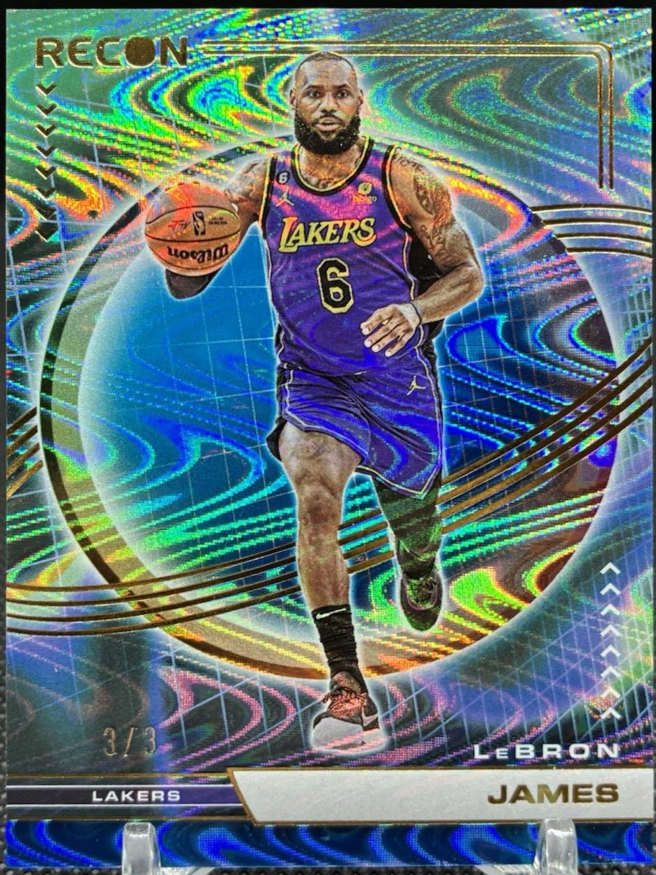LeBron James [Platinum Swirl] #95