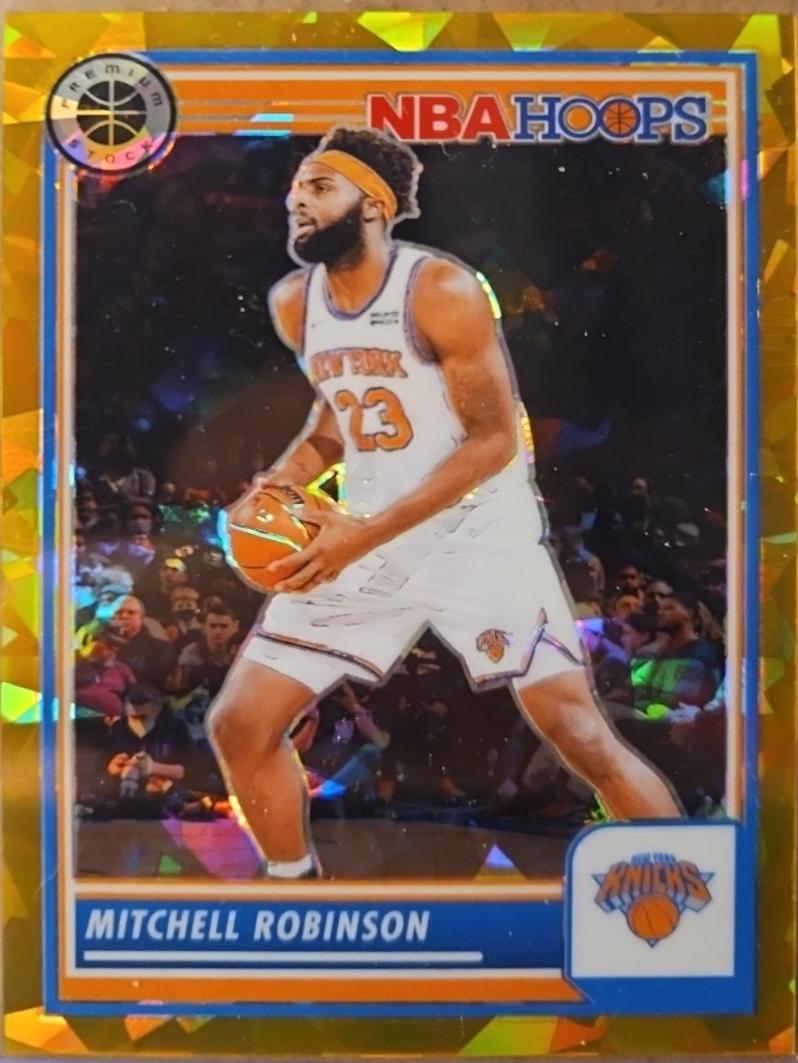 Mitchell Robinson [Gold Ice Prizm] #92