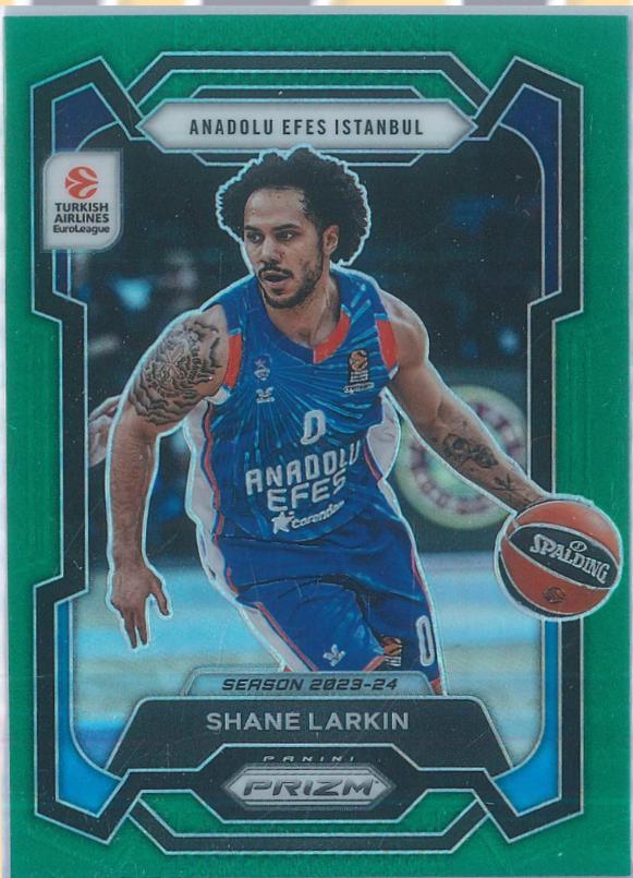 Shane Larkin [Basketball Prizm] #5