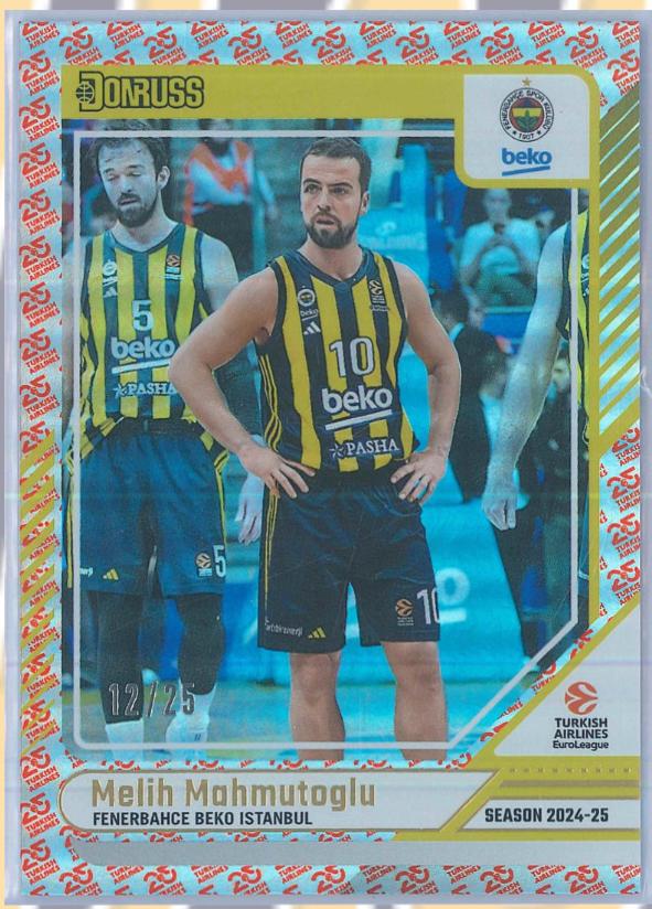 Melih Mahmutoglu [25th Anniversary] #77