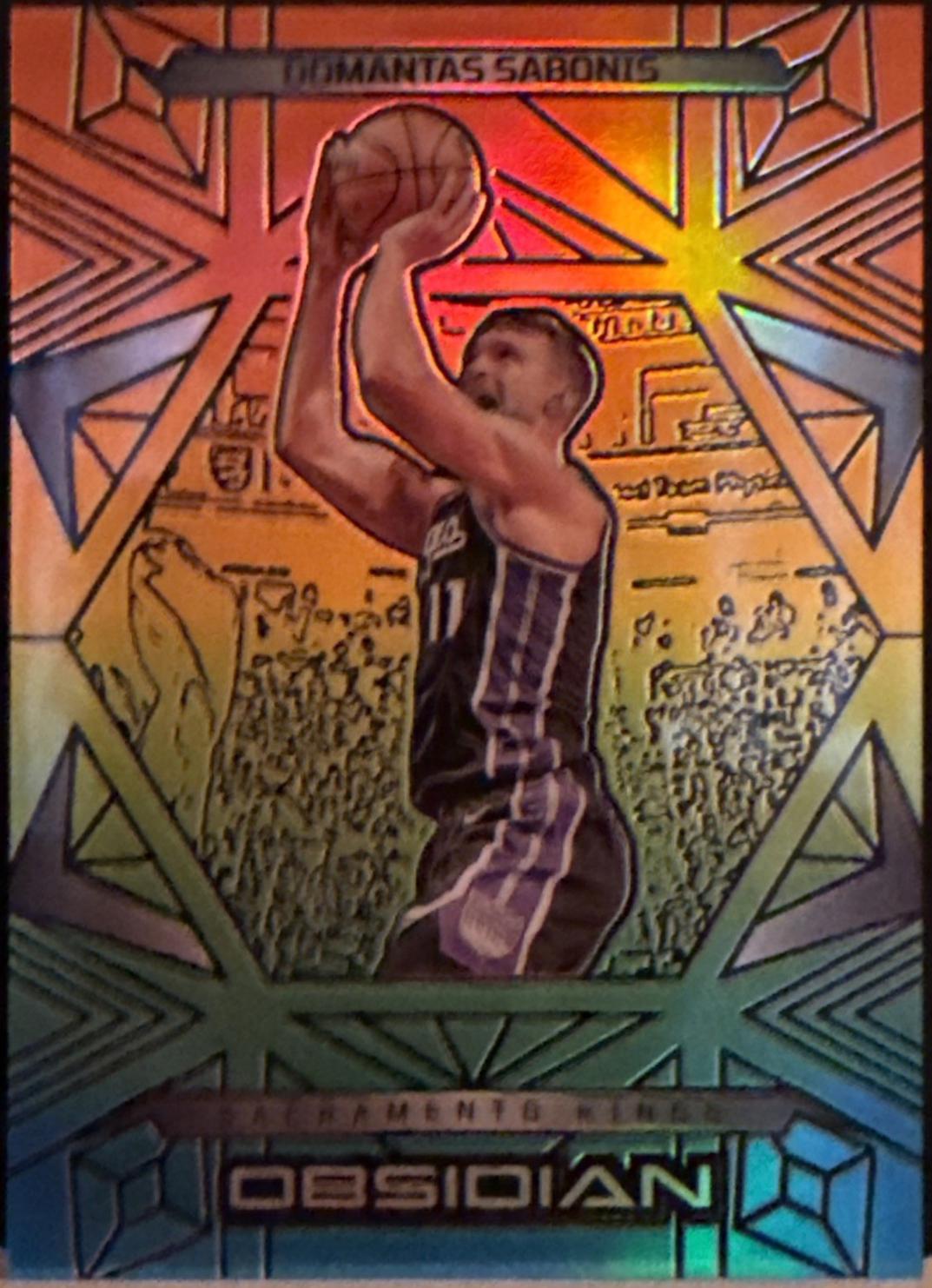 Domantas Sabonis [Hot Springs] #65