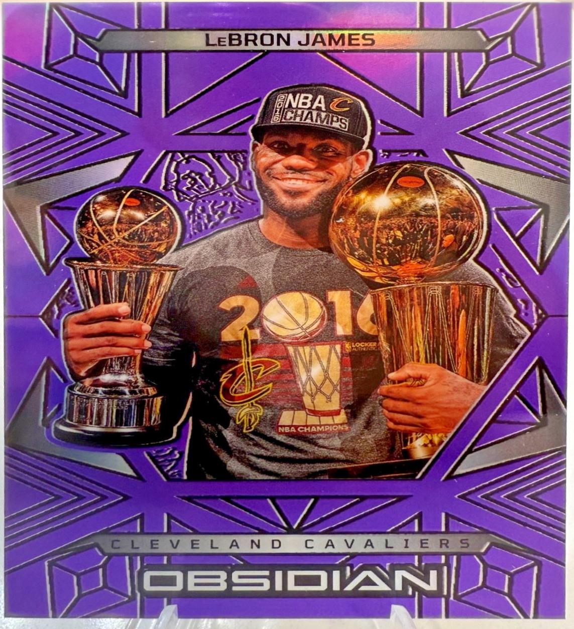 LeBron James [Purple] #181