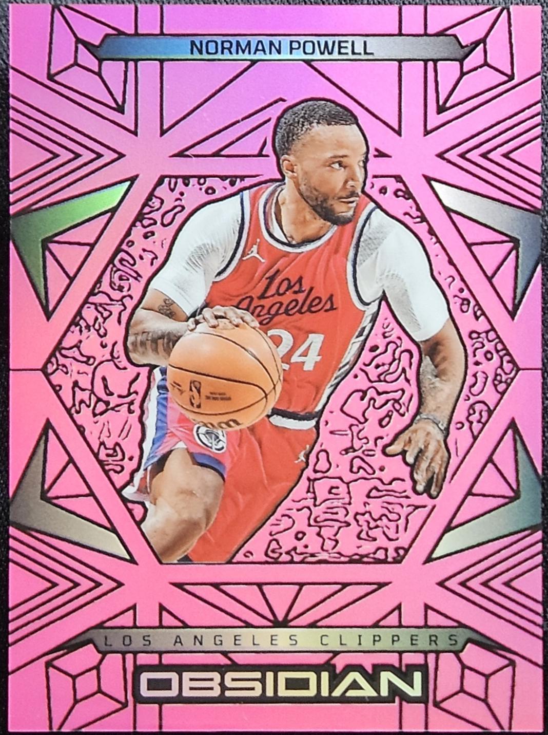 Norman Powell [Pink] #18