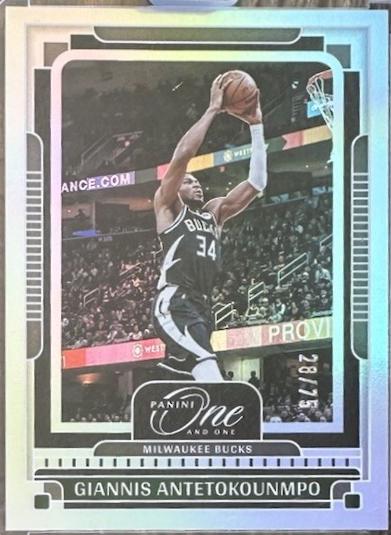 Giannis Antetokounmpo #41