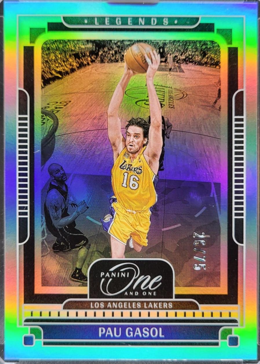Pau Gasol #178