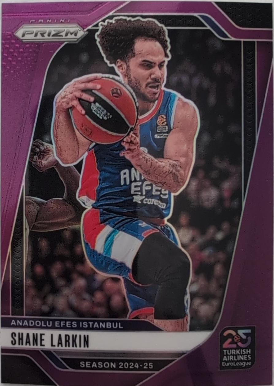 Shane Larkin [Purple] #34