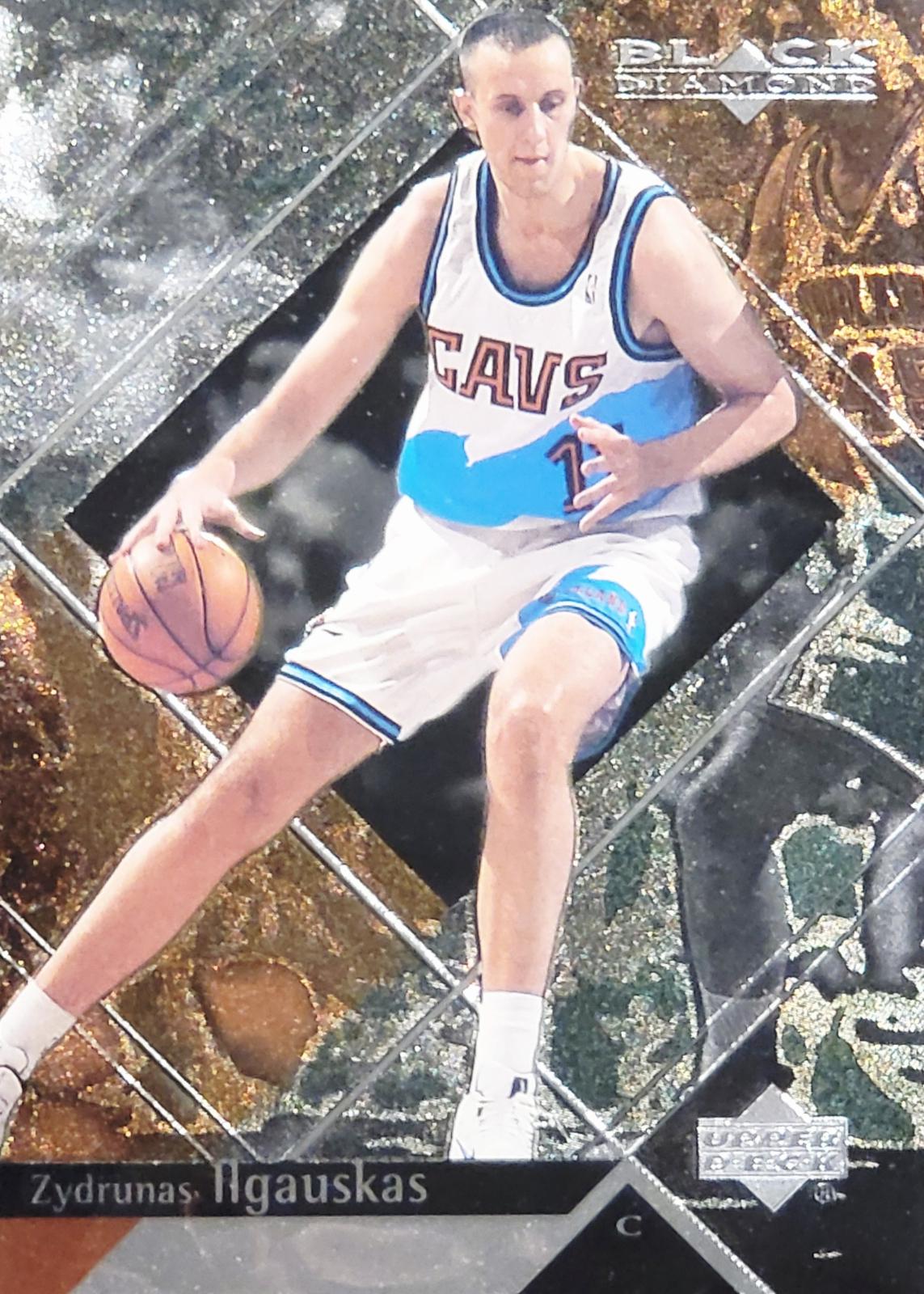 Zydrunas Llgauskas #14