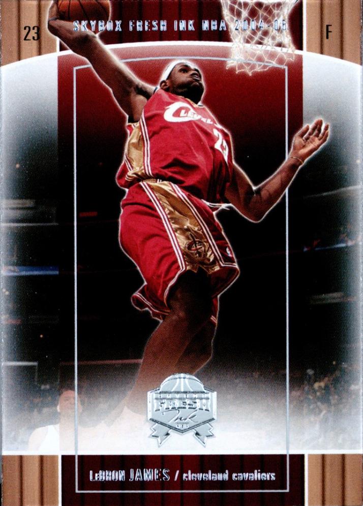 Lebron James #28