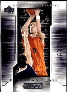 Sasha Vujacic #110