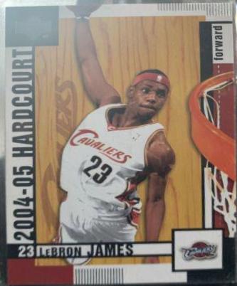 LeBron James #15