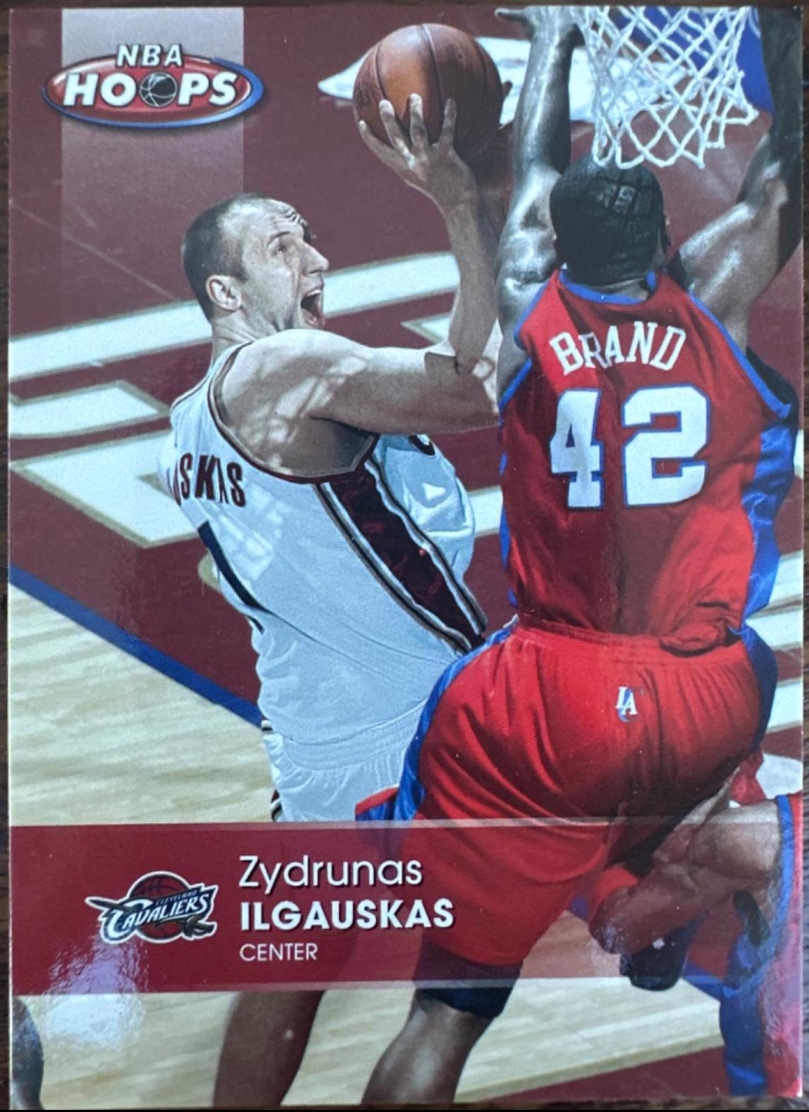 Zydrunas Ilgauskas #25
