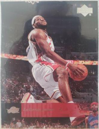 LeBron James #31
