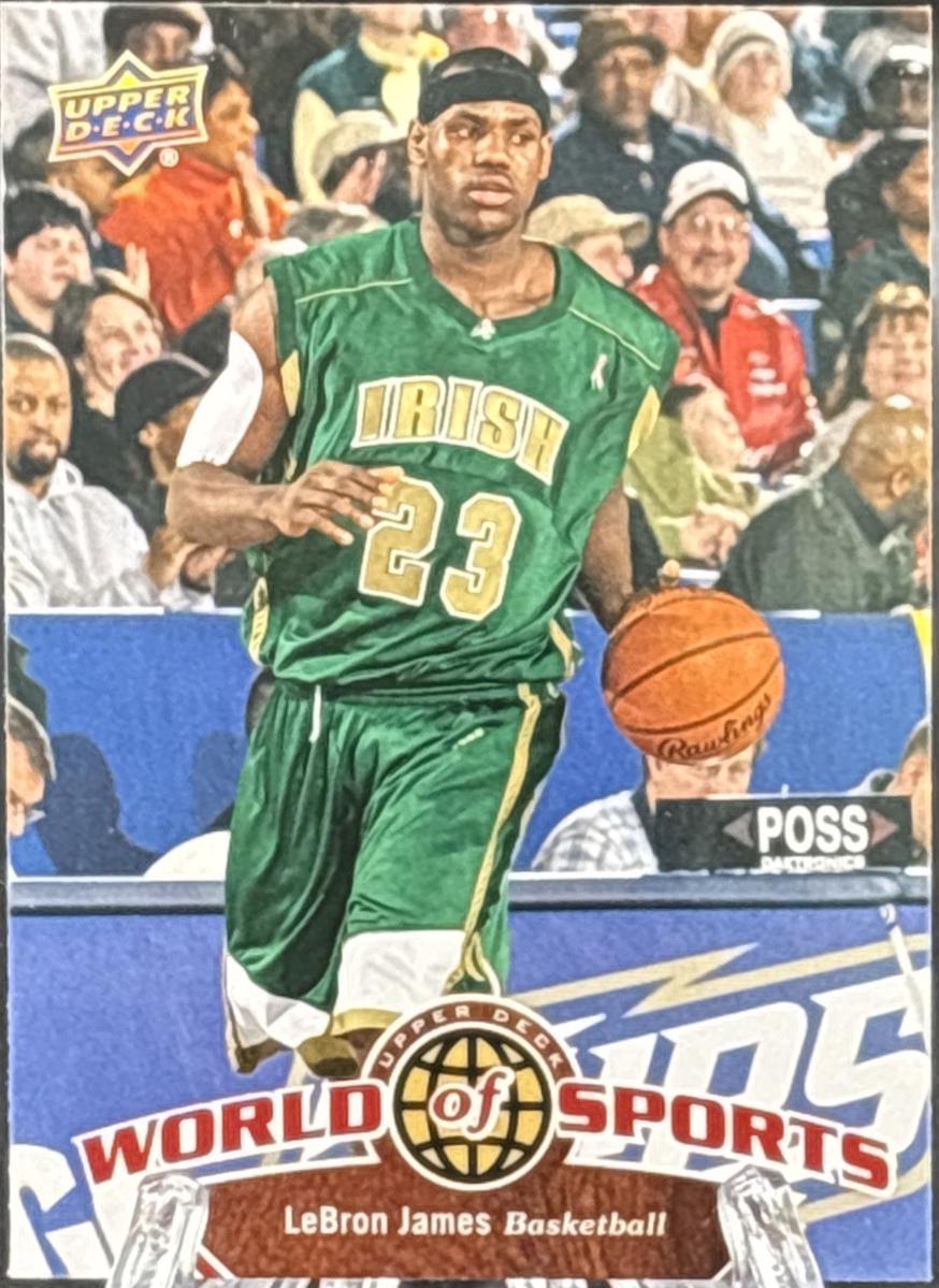 LeBron James #1