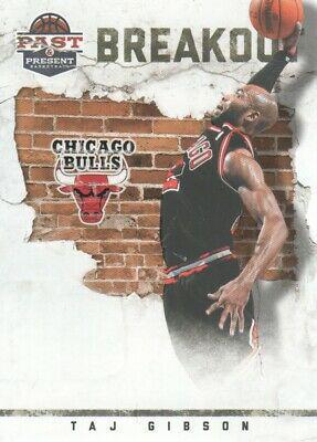 Taj Gibson #6