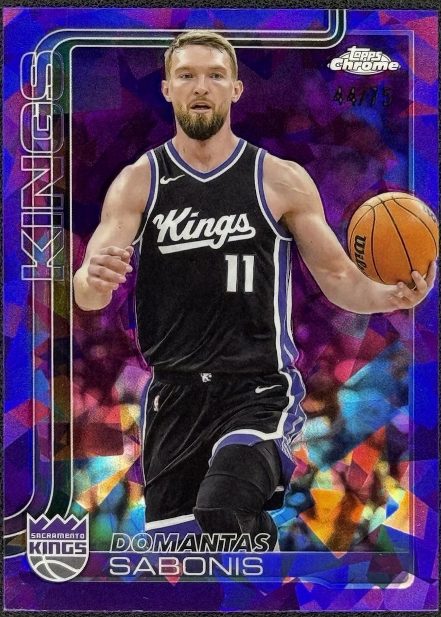 Domantas Sabonis [Purple] #229