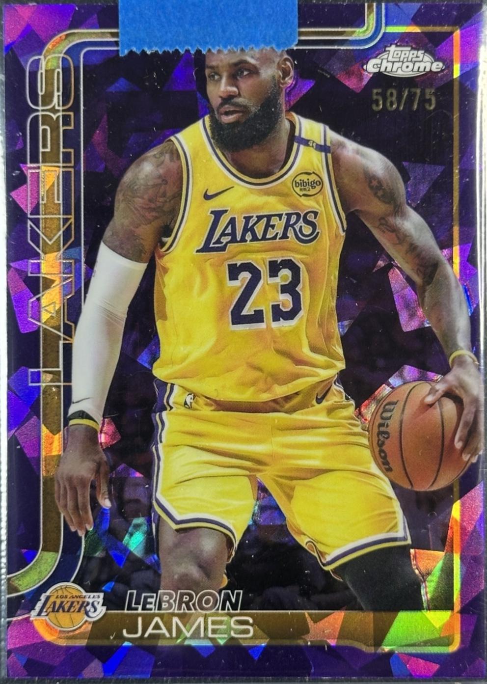 LeBron James [Purple] #127